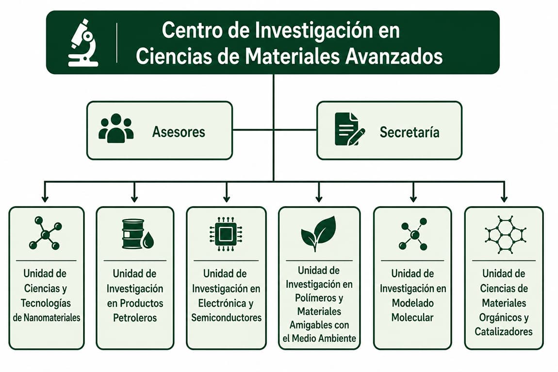 Estructura Organizativa