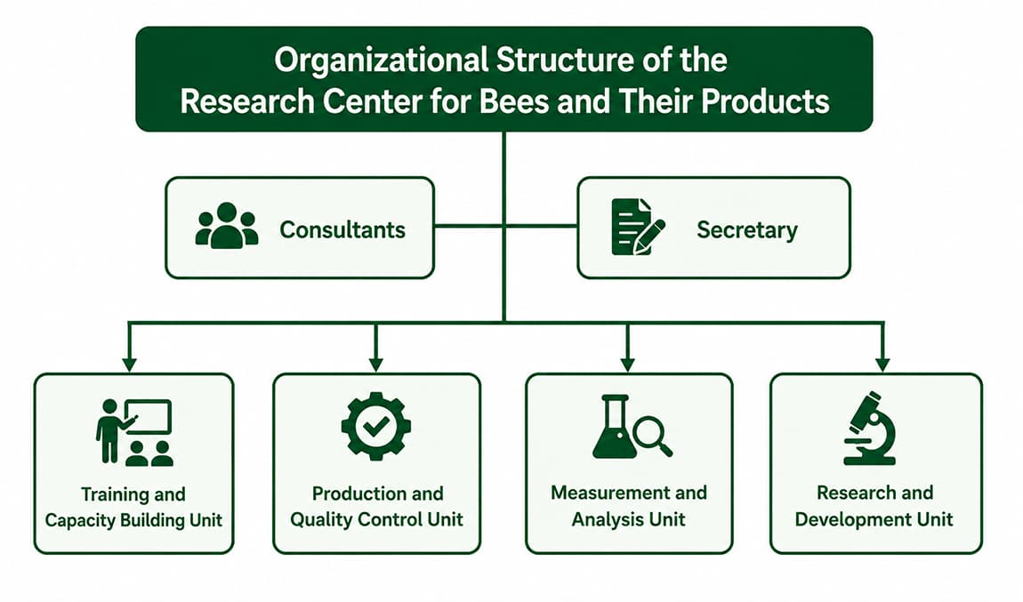 Organizational Structure