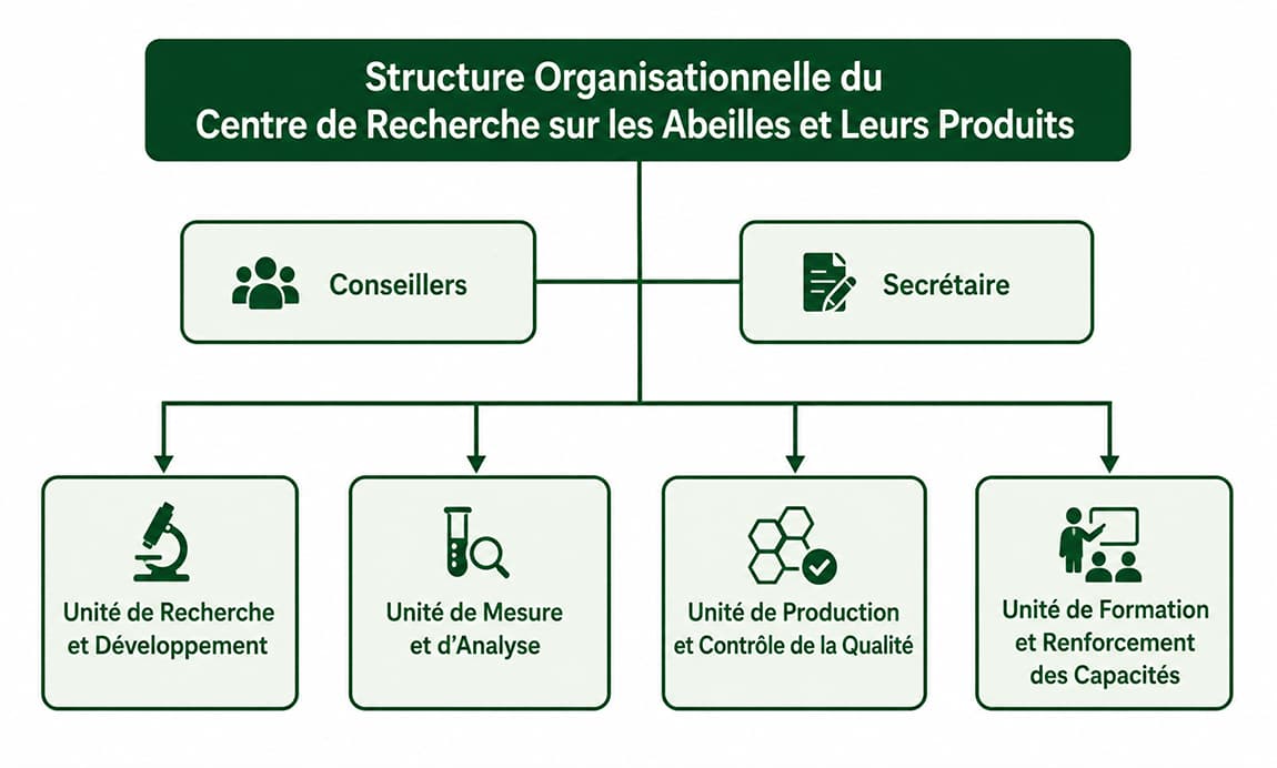 Structure organisationnelle