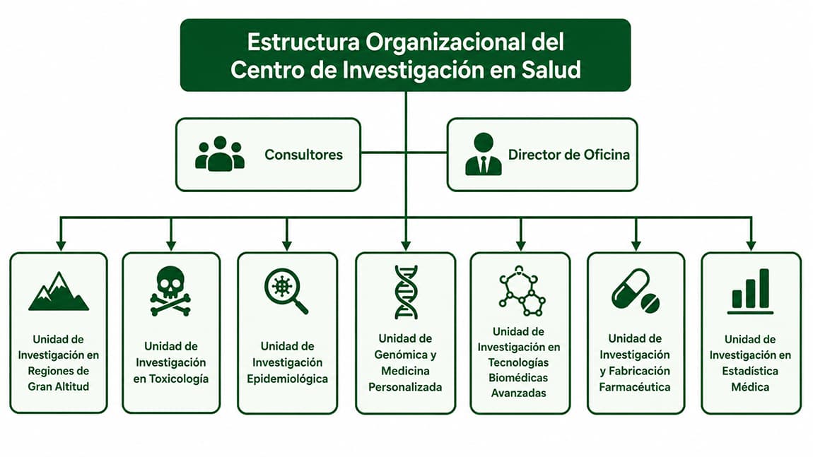 Estructura Organizativa