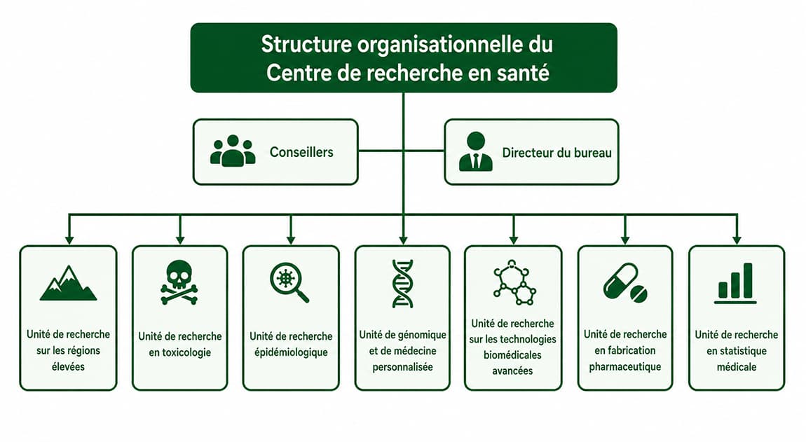  Structure Organisationnelle