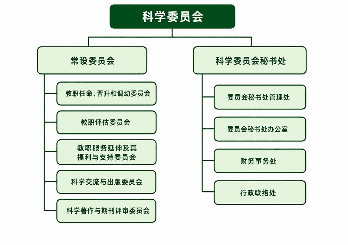 组织架构