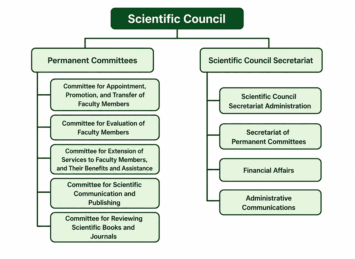 Estructura organizativa