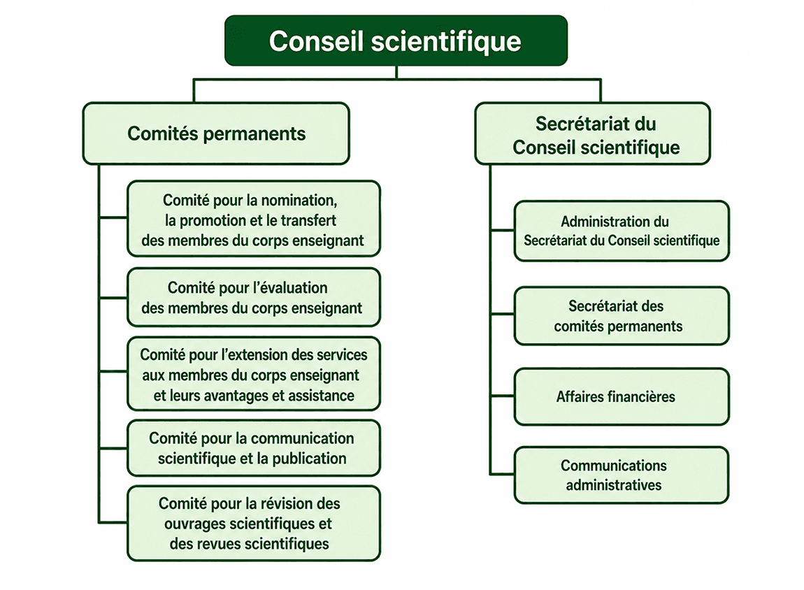 Structure organisationnelle