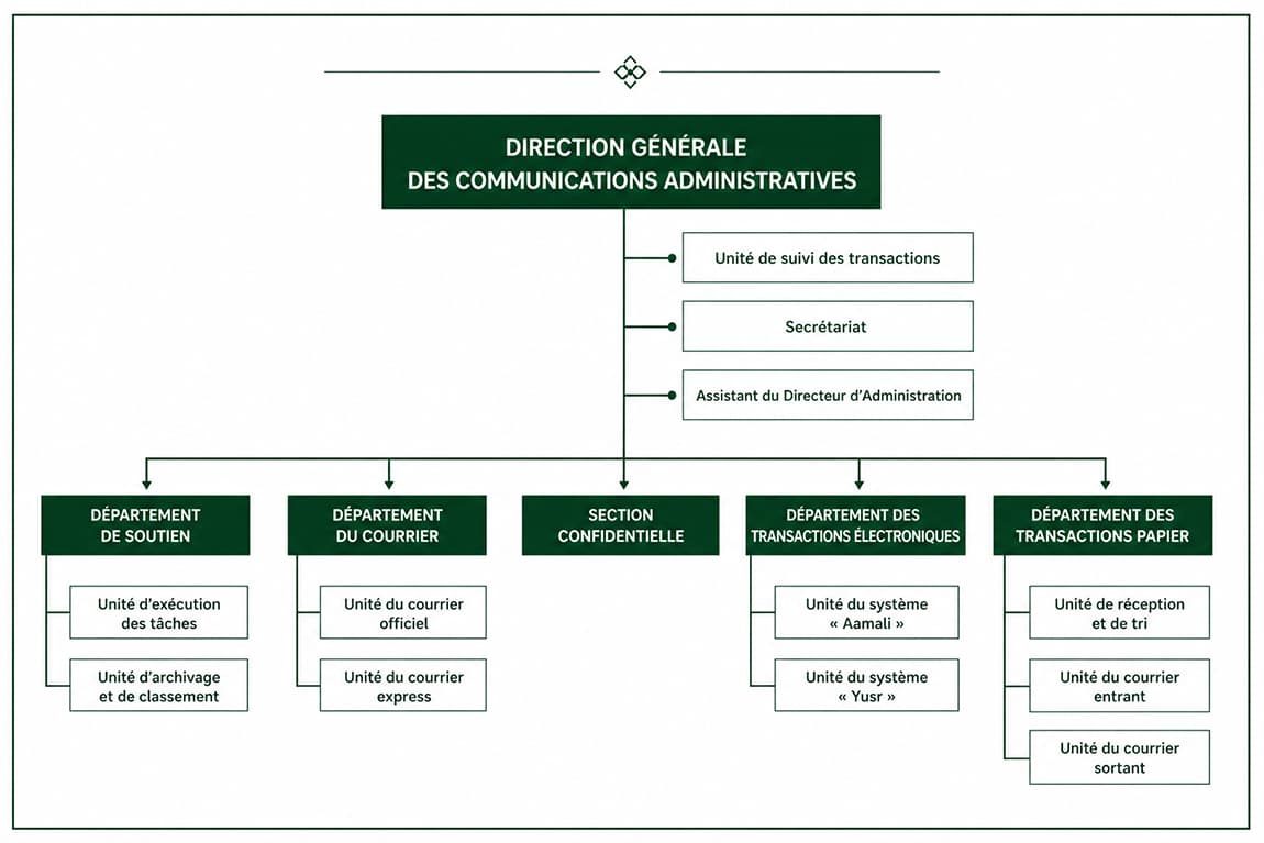 Structure organisationnelle