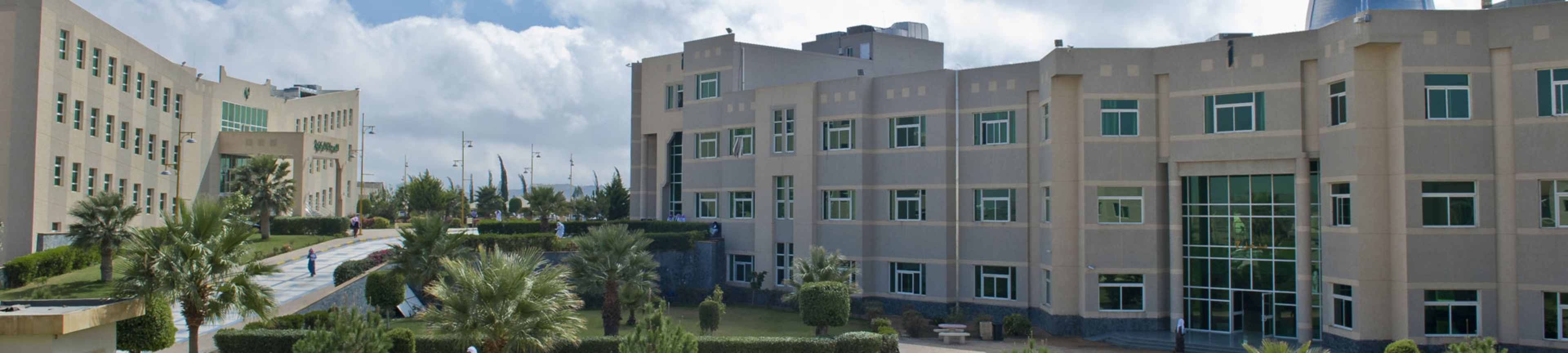 Portfolio KKU
