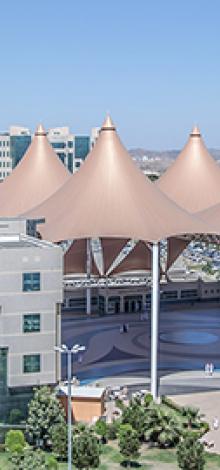 News جامعة الملك خالد