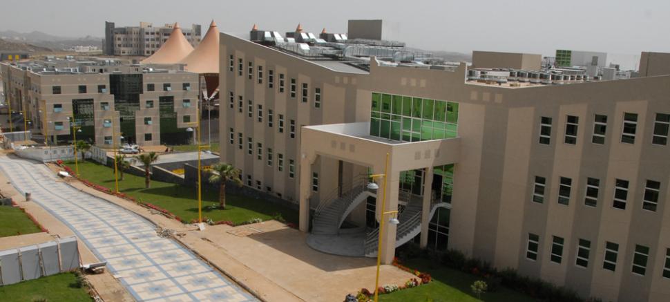 News جامعة الملك خالد